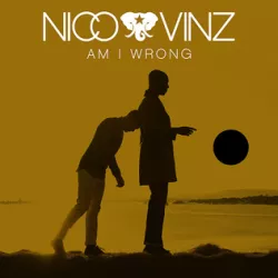 Am I Wrong / It Takes More