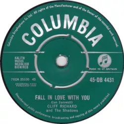 Fall in Love with You