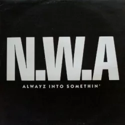 Alwayz into Somethin'