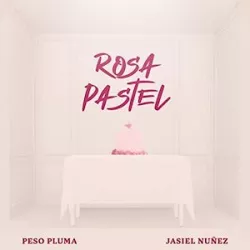 Rosa Pastel