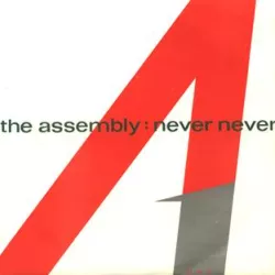 Never Never