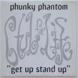 Get Up, Stand Up (Strutt Your Phunky Stuff)