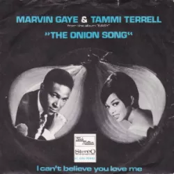 The Onion Song