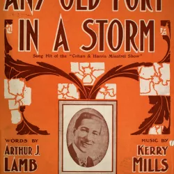 Any Old Port in a Storm