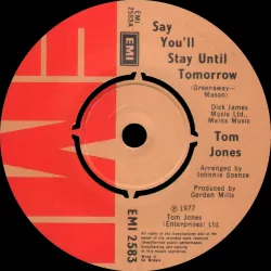 Say You'll Stay Until Tomorrow