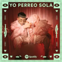 Yo Perreo Sola