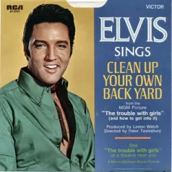 Clean Up Your Own Backyard
