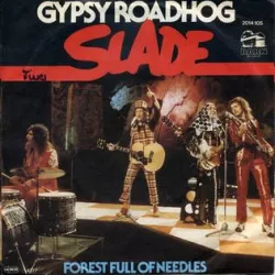 Gypsy Road Hog