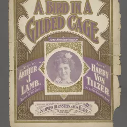 A Bird in a Gilded Cage