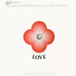 You Got the Love (New Voyager Mix)