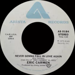 Never Gonna Fall in Love Again