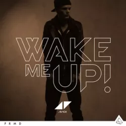 Wake Me Up (Acoustic)