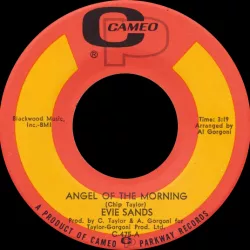Angel of the Morning/Any Way You Want Me