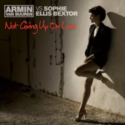 Not Giving Up on Love