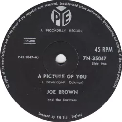 A Picture of You