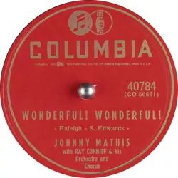 Wonderful Wonderful