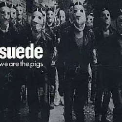 We Are the Pigs