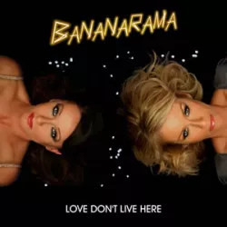 Love Don't Live Here