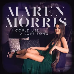 I Could Use a Love Song