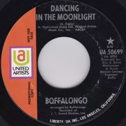 Dancing in the Moonlight