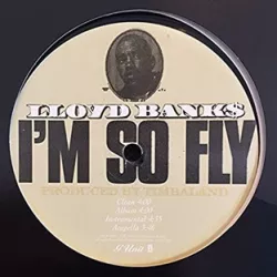 I'm So Fly