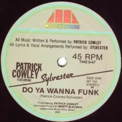 Do You Wanna Funk?