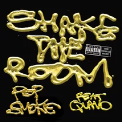 Shake the Room