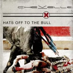 Hats Off to the Bull