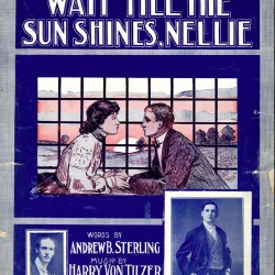 Wait 'Till the Sun Shines, Nellie
