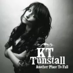 Another Place to Fall / Fake Plastic Trees