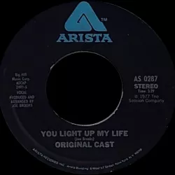 You Light Up My Life