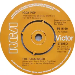 The Passenger