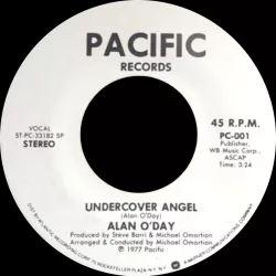 Undercover Angel