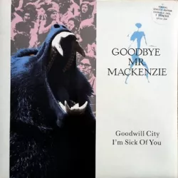 Goodwill City / I'm Sick of You