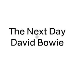 The Next Day
