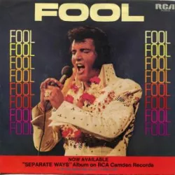 Fool