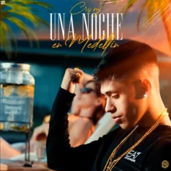 Una Noche En Medellin (Remix)