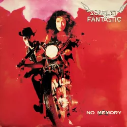 No Memory