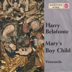 Mary's Boy Child (Megamix)