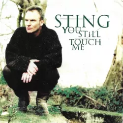You Still Touch Me