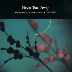 Never Turn Away