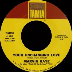 Your Unchanging Love