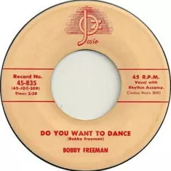Do You Wanna Dance?