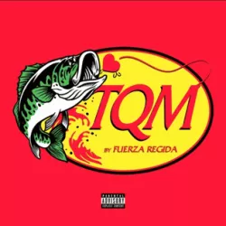 TQM