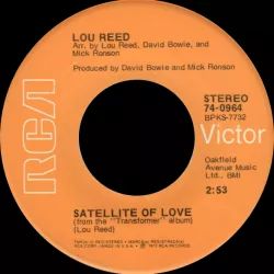 Satellite of Love 2004