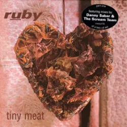 Tiny Meat