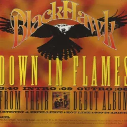 Down in Flames