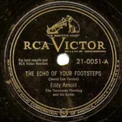 The Echo of Your Footsteps