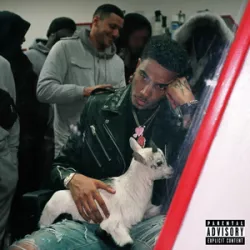 Cat Pack