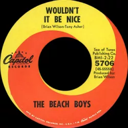 Wouldn't It Be Nice